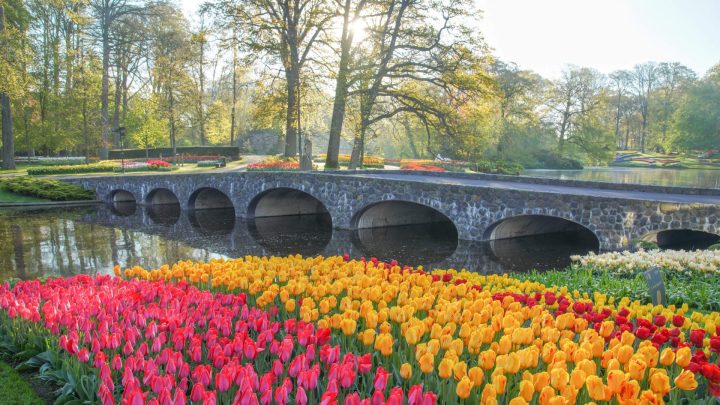 Keukenhof 2025